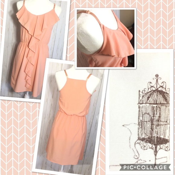 Anthropologie Dresses & Skirts - Anthropologie Bird Cage Peach / Coral Ruffle Dress
